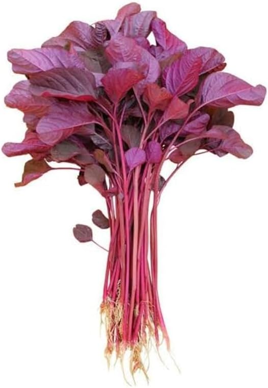 Fresh Red Spinach / Saag Bunch (1pc)