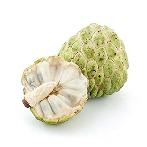 Custard Apple / Sitaphal (450g-600g | 1pc)