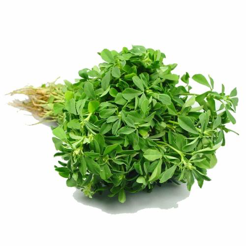 Fresh Methi Leaves Bunch (1pc)