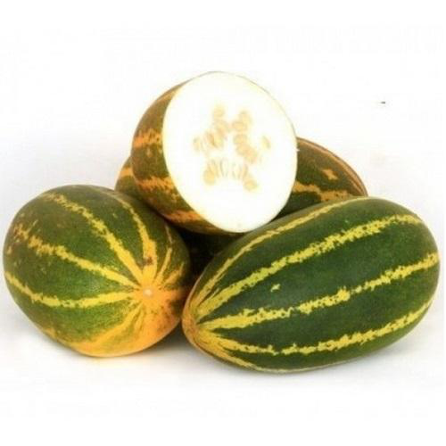 Sambar Cucumber / Mogem (500g)