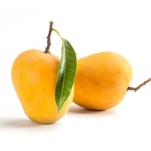 Totapuri / Ginimoothi Mango (4 - 5 pcs | 1.5kg)