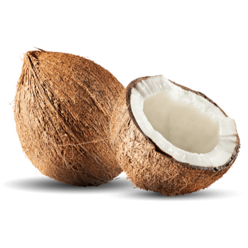 Fresh Coconut / Nariyal (1pc)