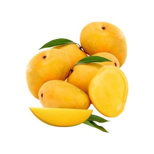 Alphonso Mangoes (3 - 6Pcs | 1-2Kg)