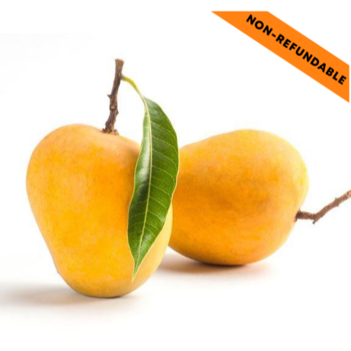 Totapuri / Ginimoothi Mango (4 - 5 pcs | 1.5kg)