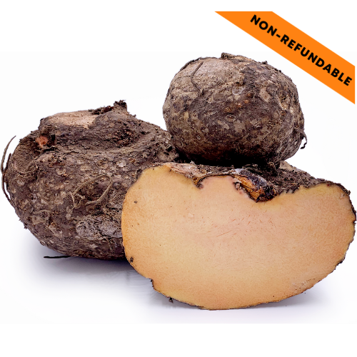 Elephant Yam / Suran (1g)