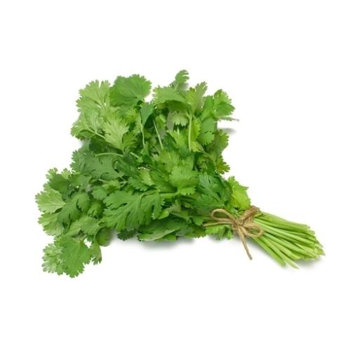 Fresh Coriander Bunch (1pc)