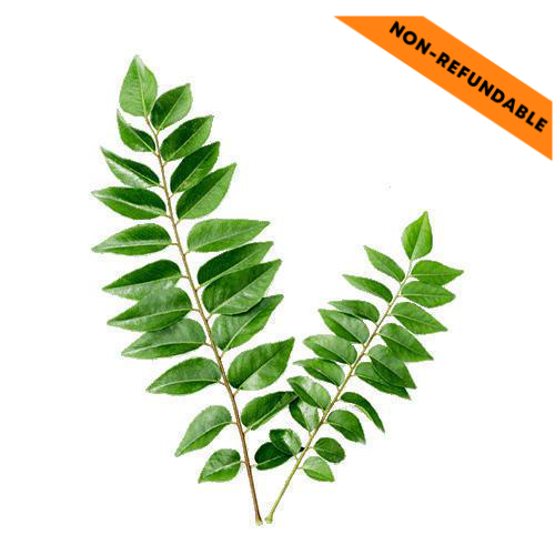 Fresh Curry Leaves (55g)