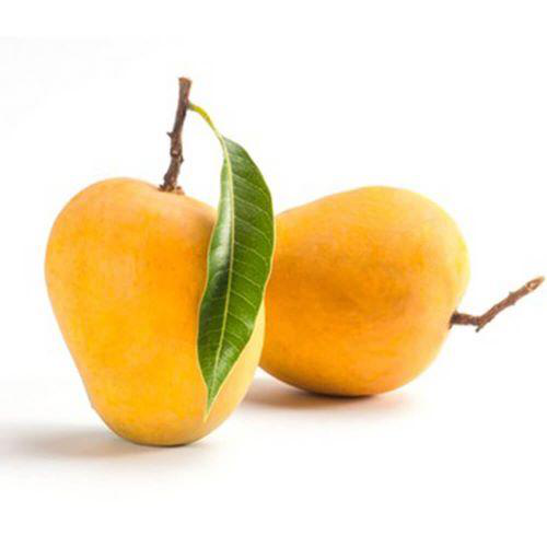 Kesar Mangoes (6Pcs | 1-2Kg)