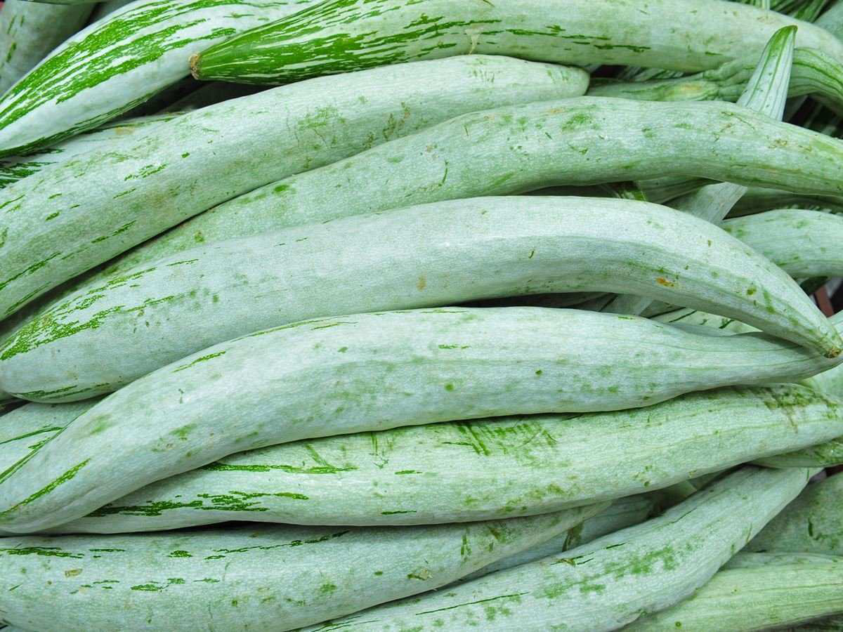 Snake Gourd / Long Padwal (500g)