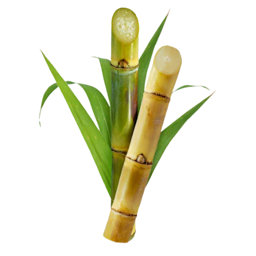 Sugarcane / Karimbu (50g)