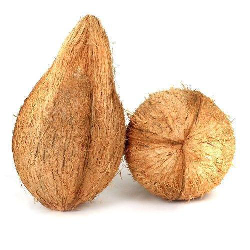 Temple Coconut / Pooja Nariyal (1pc)