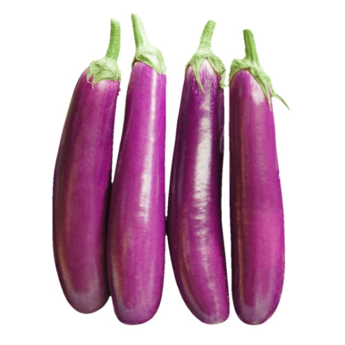 Long Brinjal / Baingan (1g)