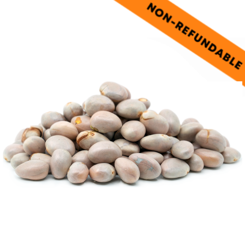 Jack Fruit Seeds (500g)