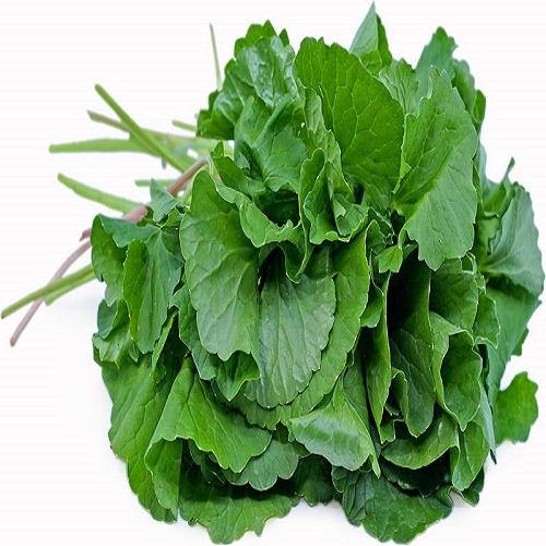 Fresh Vallarai / Brahmi Leaves Bunch (1pc)