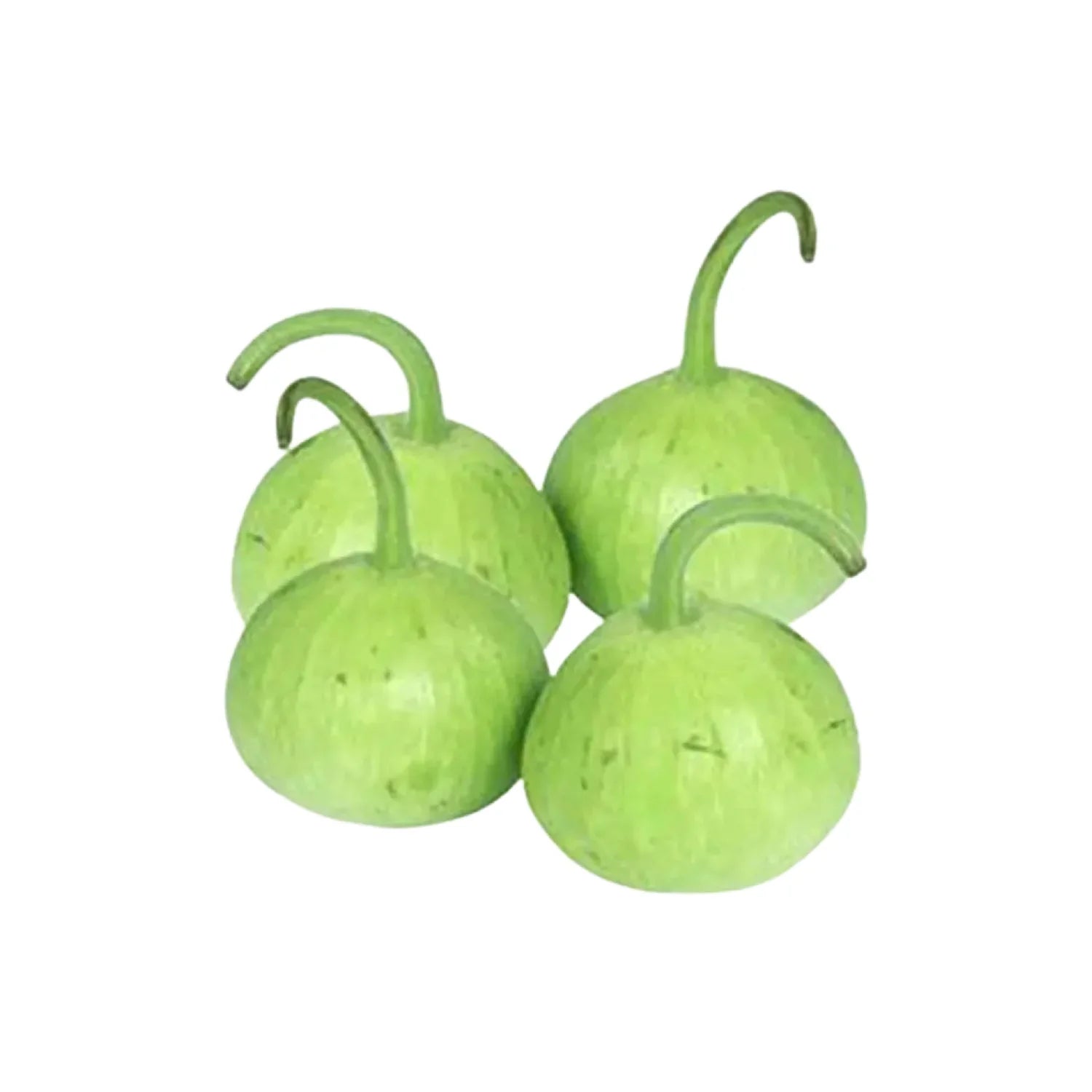 Round Pumkin / Gourd (1g)